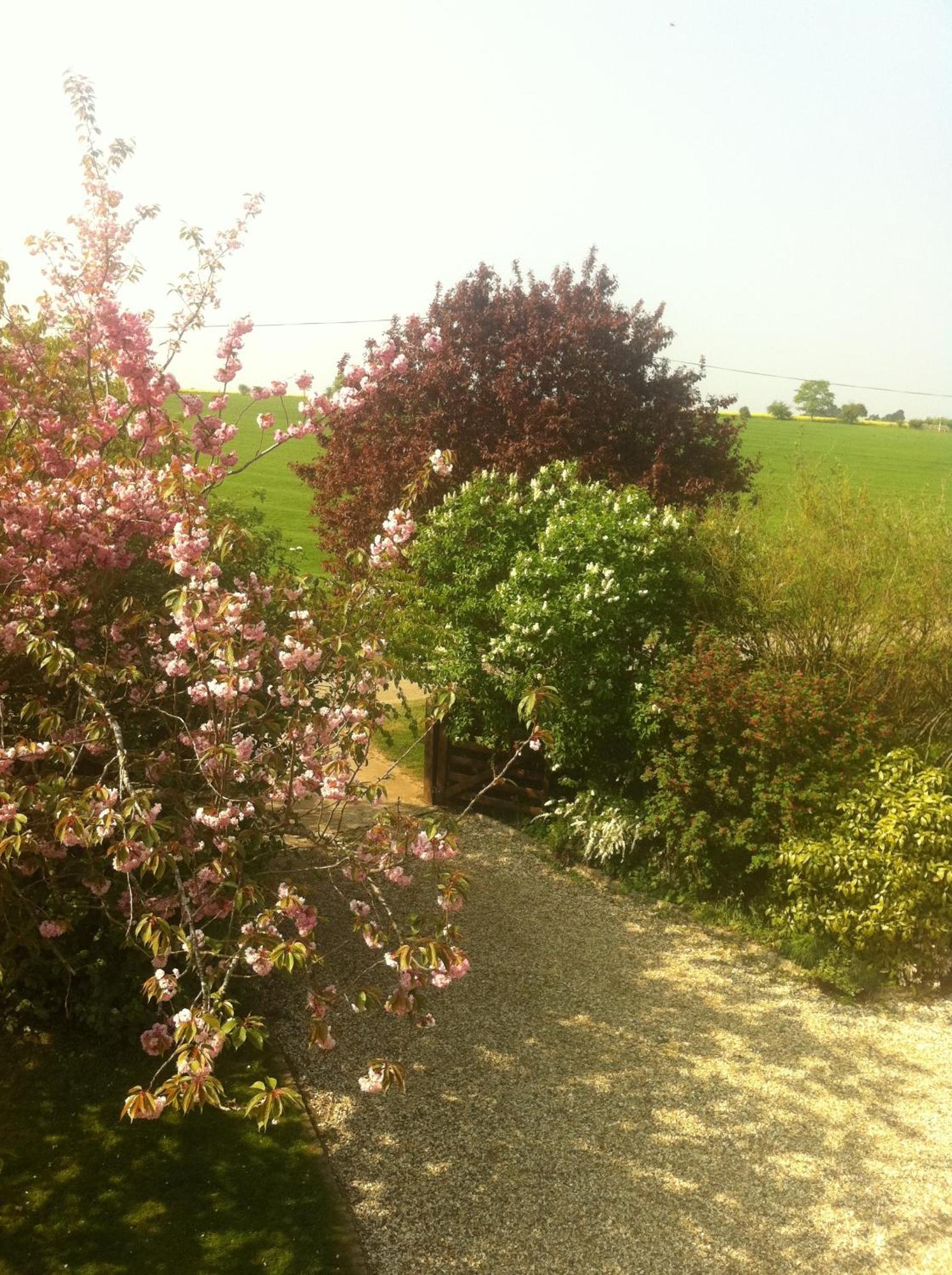 Whitchurch Farm Guesthouse Alderminster Eksteriør billede